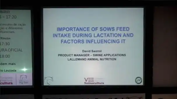 Important factors of sows feed during lactation