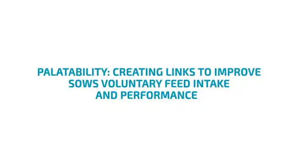 Palatability: Creating links to improve Sows voluntary feed intake performance 
