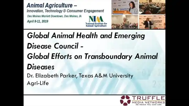 Global Efforts on Transboundary Animal Diseases