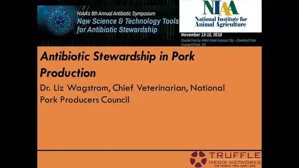Antibiotic Stewardship in Pork Production