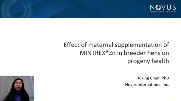 Effect of Maternal Supplementation of MINTREX® Zn in Breeder Hens on Progeny Health