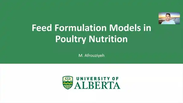 Feed Formulation Mathematical Models in Poultry Nutrition