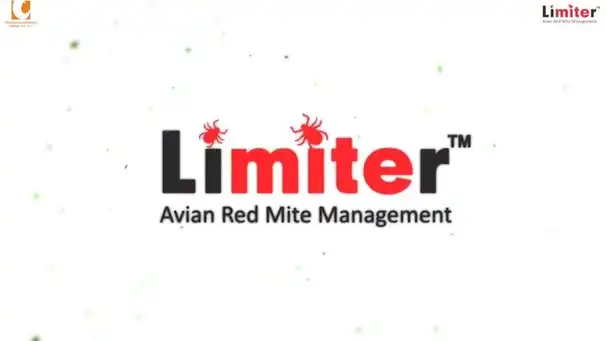 Growing Impact of Avian Red Mite | Limiter | A Novel Herbal Solution for Dermanyssus gallinae