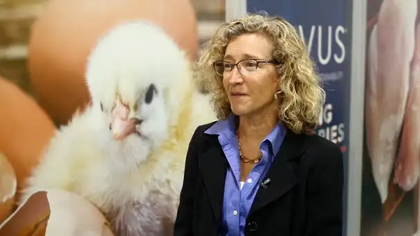 Maternal feeding strategy in poultry breeders