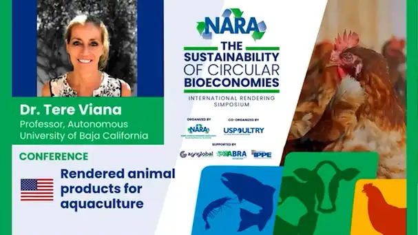 Rendered Animal Products for Aquaculture | Engormix