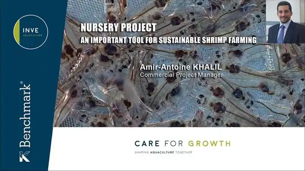 Sustainable shrimp farming: nursery project