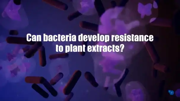 Can bacteria develop resistance to plant extracts?