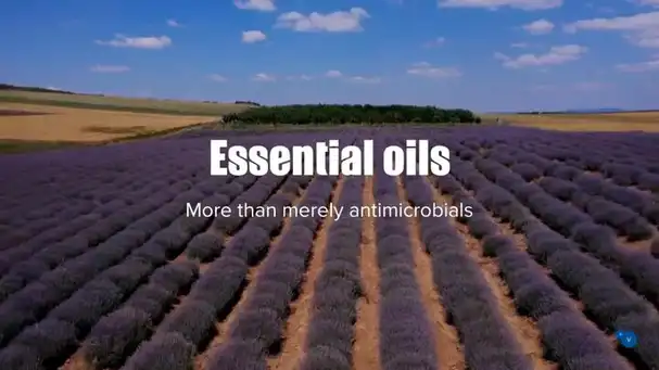 Essential oils, beyond antibacterial activity