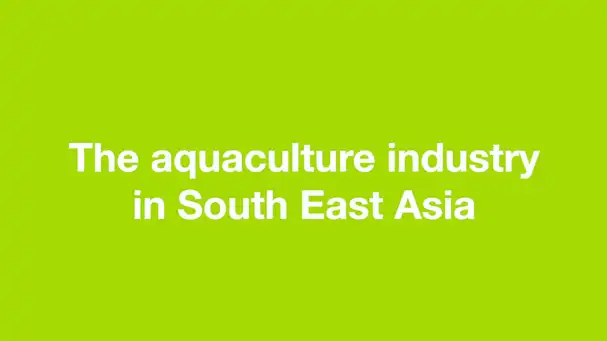 The aquaculture industry in SE ASIA