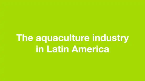 The aquaculture industry in Latin America