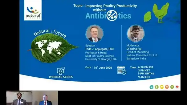 Improving Poultry Productivity without Antibiotics | Engormix
