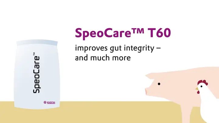 SpeoCare™ T60