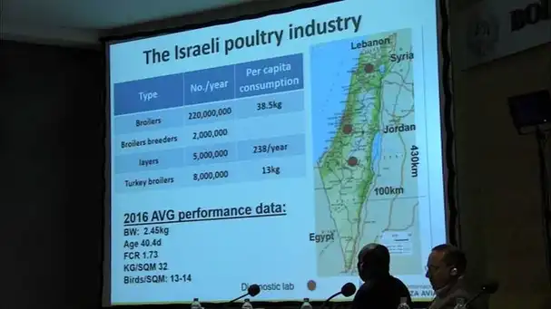Udi Ashash talks about avian influenza outbreaks and vaccines in Israel
