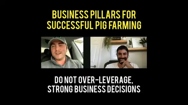 Pig production is a tough business