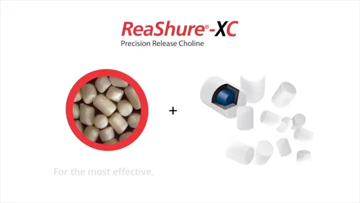 ReaShure®-XC