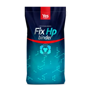 YES - FIX HP