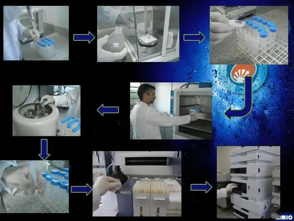 Avaliação in vitro de AAM - Aditivo antimicotoxinas, adsorventes