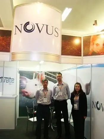 Novus - Vários