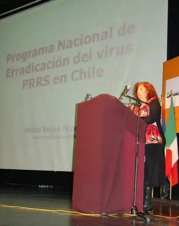 Erradicación de PRRS en Chile - Varias