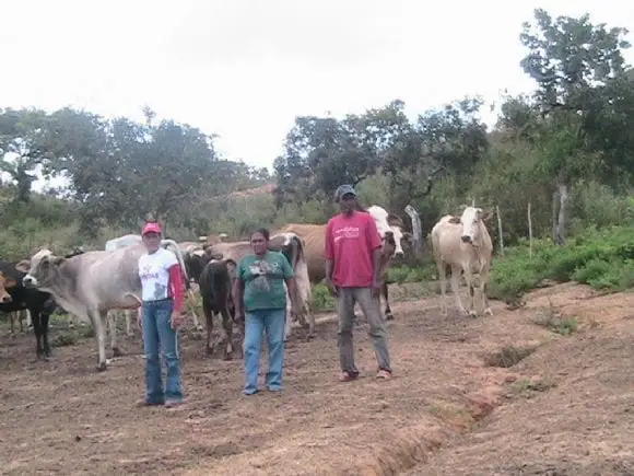 inspeccion en corrales de estantes de madera y alambre - francia del v. dellan marin