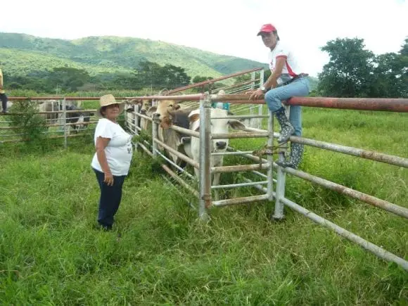 pignoracion - francia del v. dellan marin
