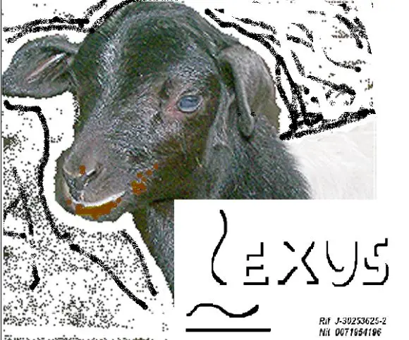 corderos - estabulacion de ganado ( Toros , Corderos , Cabaras )