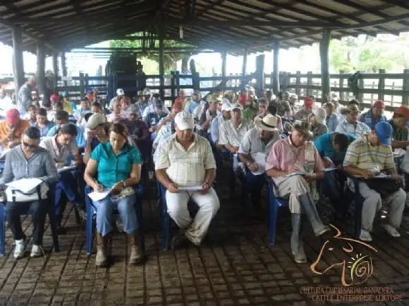 Capacitación a ganaderos en Pastoreo Racional Voisin (PRV) - Montería, diciembre de 2010 | Foto 9454