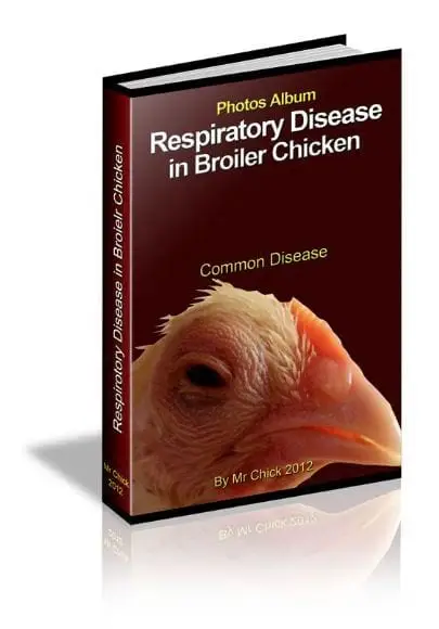 more photos - Respiratory Disease