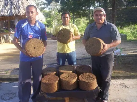 aprendices del curso de alimentacion y nutricion bovina | Foto 9021