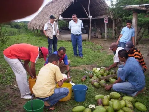 aprendices del curso de alimentacion y nutricion bovina | Foto 9022