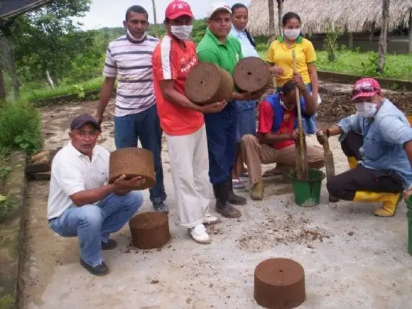 aprendices del curso de alimentacion y nutricion bovina | Foto 9029