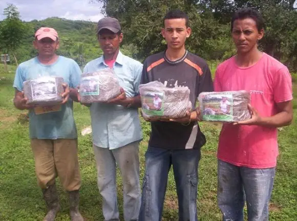 aprendices del curso de alimentacion y nutricion bovina | Foto 9030