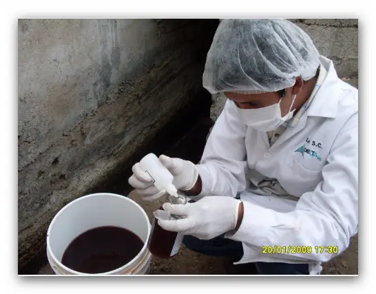 Muestreo de agua residual en mataderos - Tratamiento Anaerobio de Efluentes de Mataderos