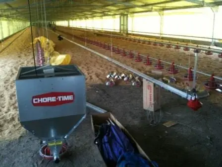 instalacion de equipamiento para pollos | Foto 9593