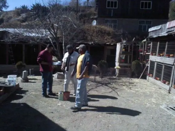 Brindando asesoria a galleros del Municipio de Pueblo Nuevo, Durango - toma de muestras en porcinos 