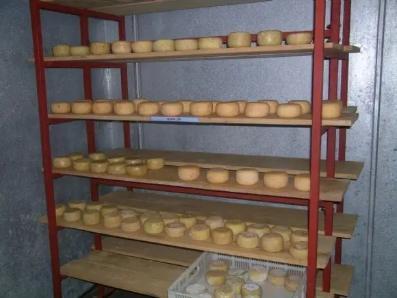 Raza Pampinta, elaboracion de quesos | Foto 4825
