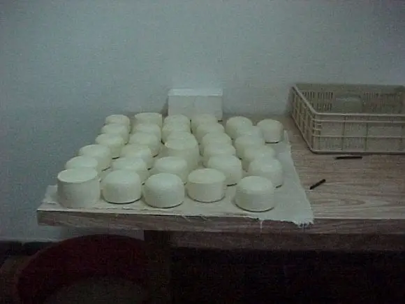 Raza Pampinta, elaboracion de quesos | Foto 4824
