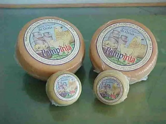 Raza Pampinta, elaboracion de quesos | Foto 4827
