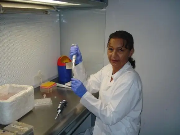 Preparando ADN para PCR - Actividades cotidianas