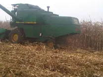 Cosechando maíz