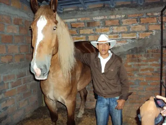 Manejo equino SENA Colombia | Foto 5677
