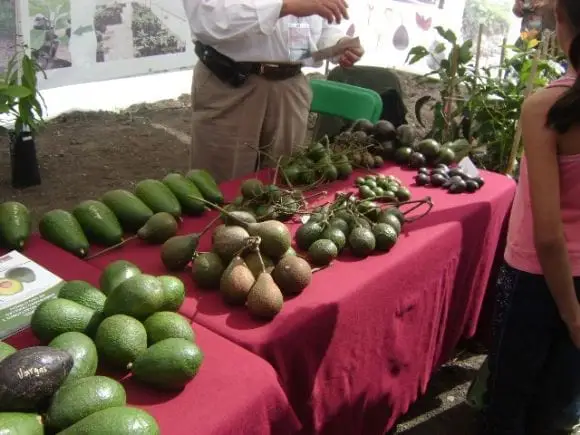 Expositores de la UNAM - Sector agropecuario en Querétaro, México