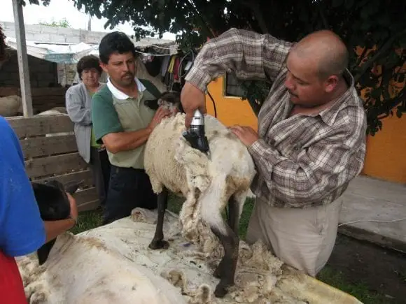 FOTOS | Foto 6918