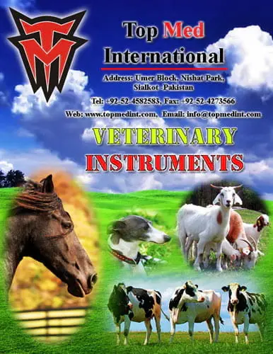 Veterinary Instruments | Photo 7065