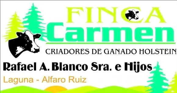 FINCA CARMEN | Foto 8303