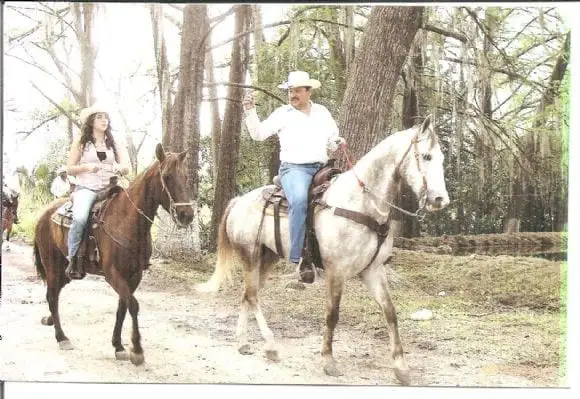 Caballos | Foto 8308