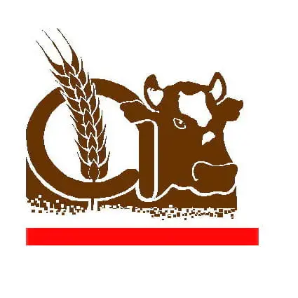 Logo - alansur
