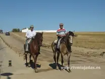 Paseito caballo