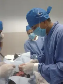 extraccion de cuerpo extraño, canino