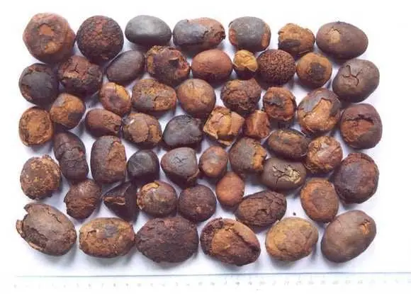 Cow , ox gallstones for sale ` - Various